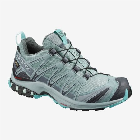 Salomon XA PRO 3D GTX W Womens Hiking Shoes Turquoise UK QPOW